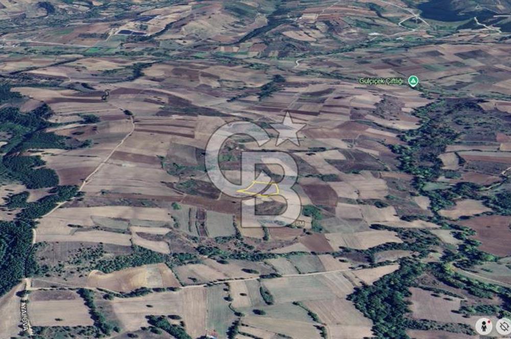 KARAMÜRSEL KIZDERBENT'TE 7705 M2 SATILIK TARLA