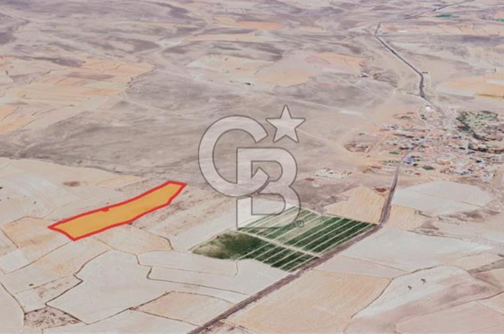 CB ANATOLİADAN İNCESU KÜLLÜ İLE KARAHÖYÜK ARASI TARLA