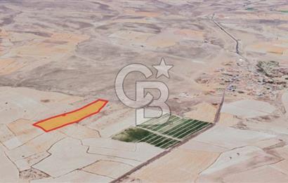 CB ANATOLİADAN İNCESU KÜLLÜ İLE KARAHÖYÜK ARASI TARLA