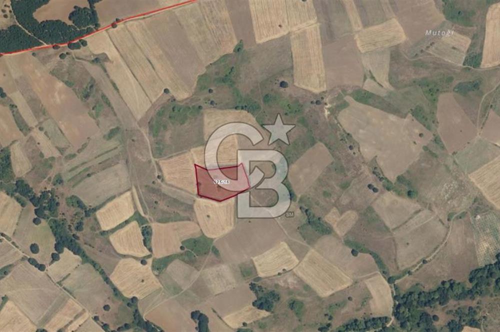 KARAMÜRSEL KIZDERBENT'TE 7705 M2 SATILIK TARLA