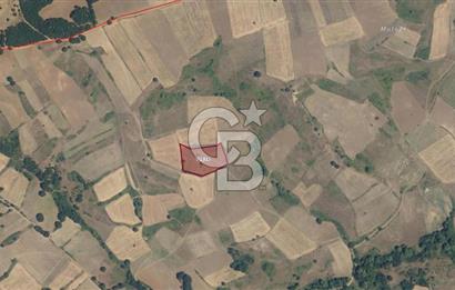 KARAMÜRSEL KIZDERBENT'TE 7705 M2 SATILIK TARLA