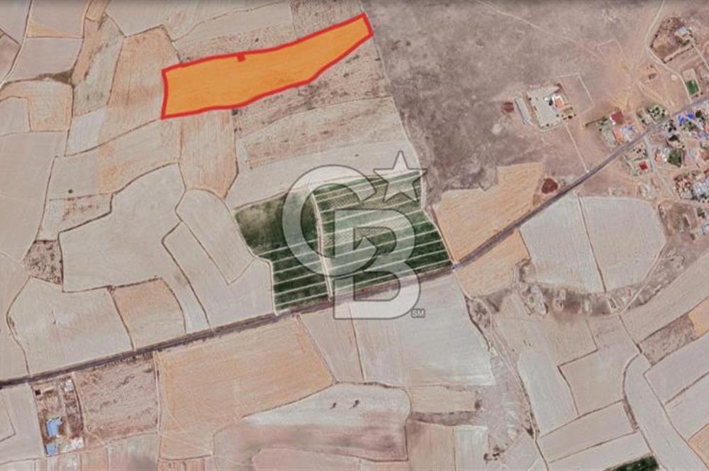 CB ANATOLİADAN İNCESU KÜLLÜ İLE KARAHÖYÜK ARASI TARLA