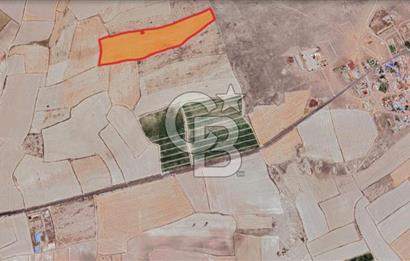 CB ANATOLİADAN İNCESU KÜLLÜ İLE KARAHÖYÜK ARASI TARLA