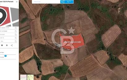 KARAMÜRSEL KIZDERBENT'TE 7705 M2 SATILIK TARLA