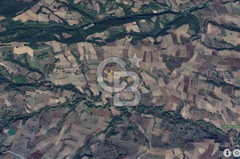 KARAMÜRSEL KIZDERBENT'TE 7705 M2 SATILIK TARLA