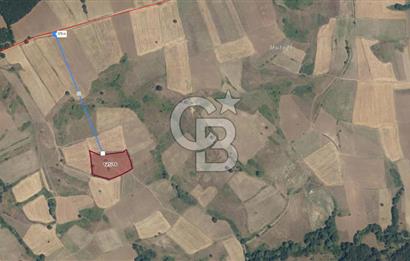 KARAMÜRSEL KIZDERBENT'TE 7705 M2 SATILIK TARLA