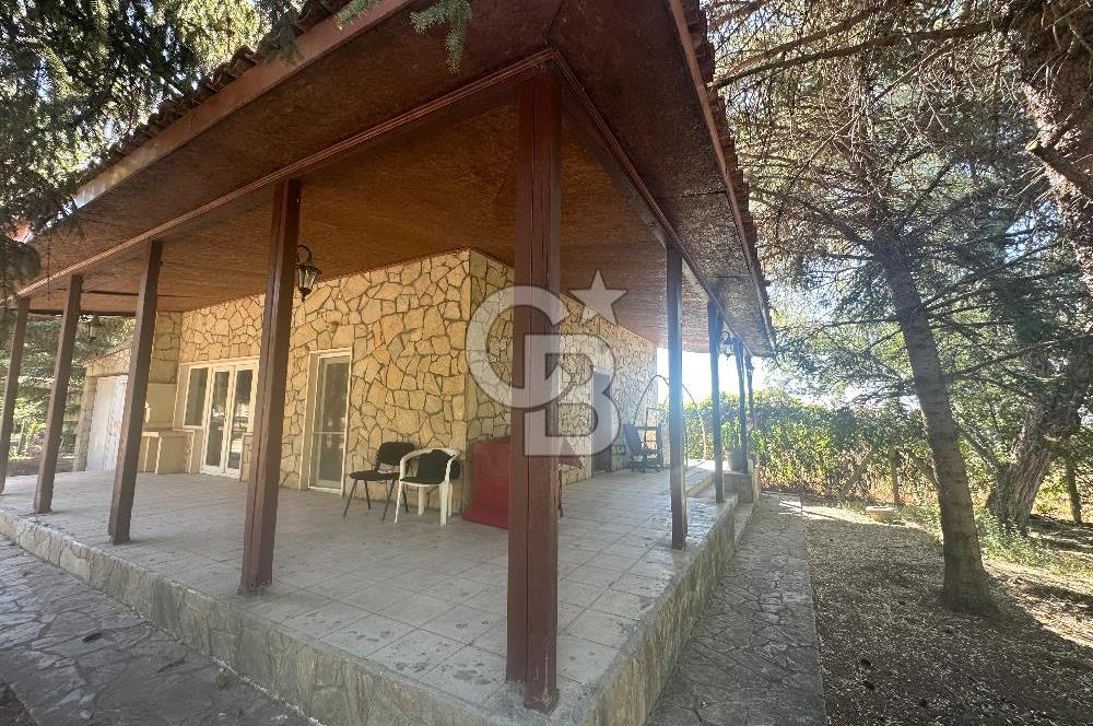 GÖLBAŞI KARAOĞLAN DA 10 DÖNÜM TARLA