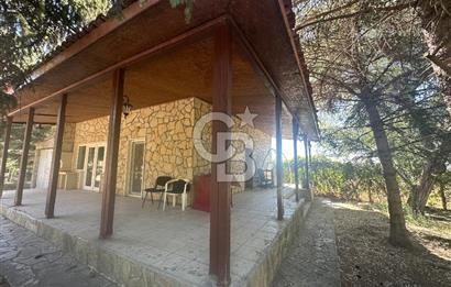 GÖLBAŞI KARAOĞLAN DA 10 DÖNÜM TARLA