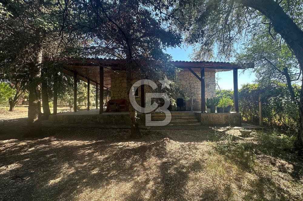 GÖLBAŞI KARAOĞLAN DA 10 DÖNÜM TARLA