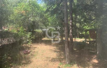 Beylikdüzü Büyükşehir sitesi satılık bahçe katı