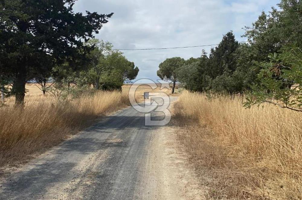 Biga da satılık denize yakın imarlı arsa