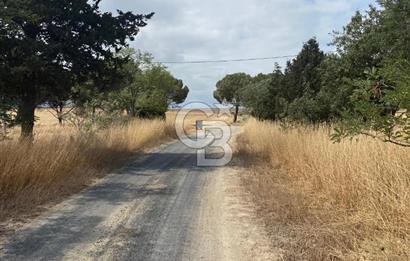 Biga da satılık denize yakın imarlı arsa