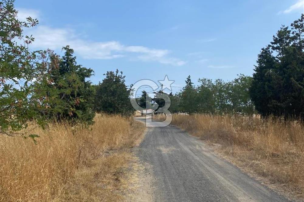 Biga da satılık denize yakın imarlı arsa