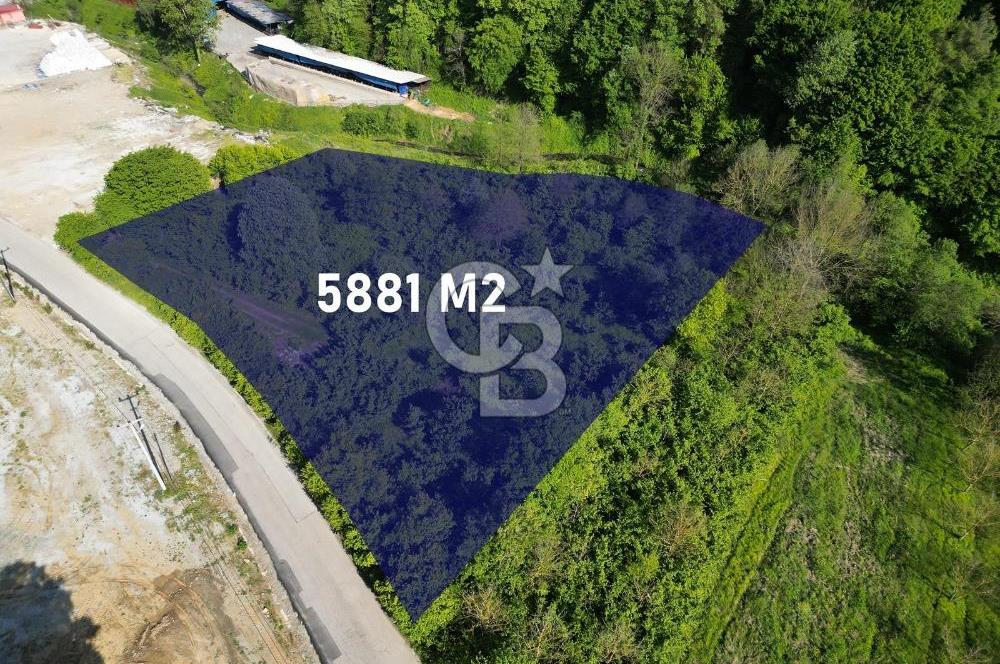 CB Envoy'dan Lütfiye mah. Yola 75 m Cephe 5881 m2 Tarla