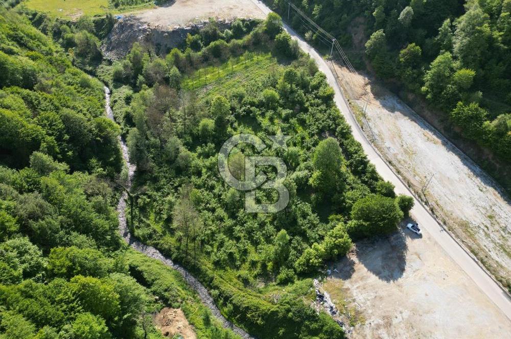 CB Envoy'dan Lütfiye mah. Yola 75 m Cephe 5881 m2 Tarla