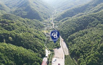 CB Envoy'dan Lütfiye mah. Yola 75 m Cephe 5881 m2 Tarla