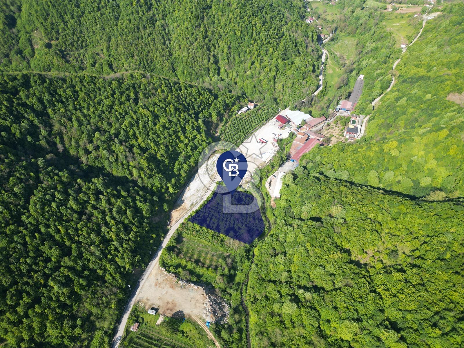 CB Envoy'dan Lütfiye mah. Yola 75 m Cephe 5881 m2 Tarla