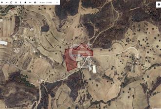 ANTALYA MANAVGAT DEMİRCİLER'DE SATILIK 14459 M2 TARLA