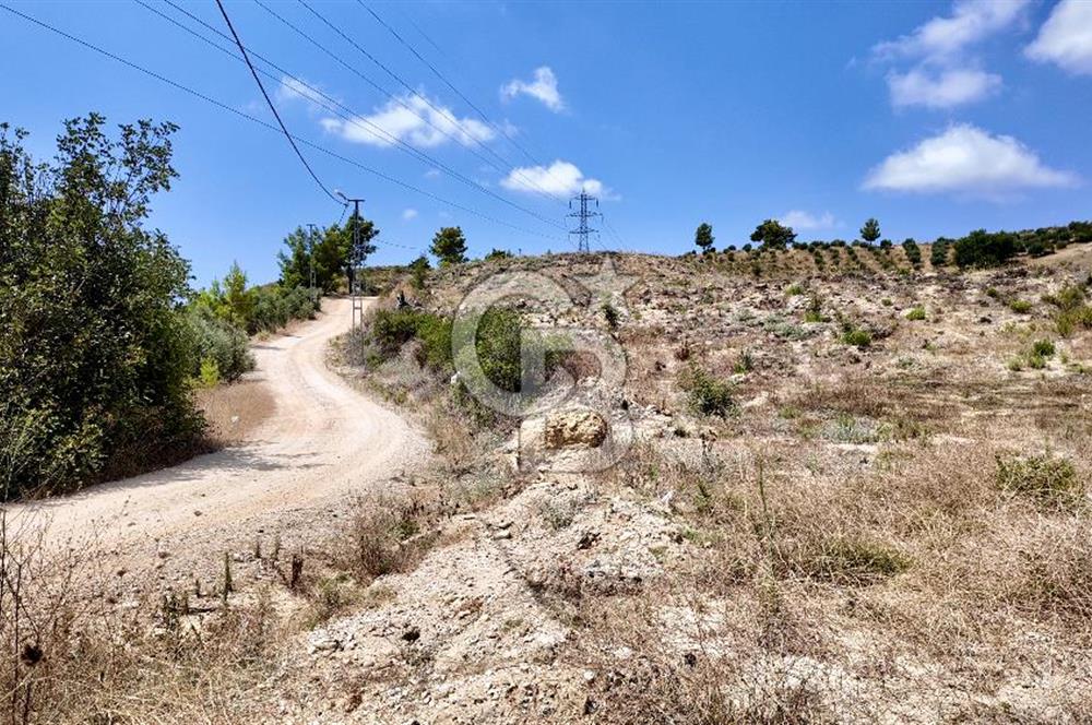 ANTALYA MANAVGAT DEMİRCİLER'DE SATILIK 14459 M2 TARLA