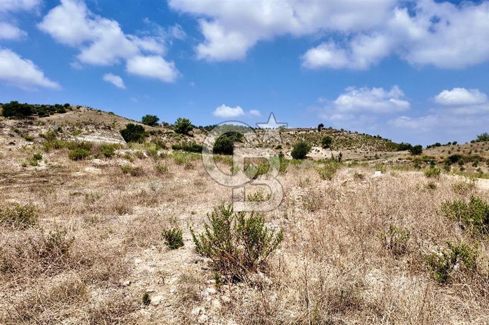 ANTALYA MANAVGAT DEMİRCİLER'DE SATILIK 14459 M2 TARLA