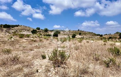 ANTALYA MANAVGAT DEMİRCİLER'DE SATILIK 14459 M2 TARLA