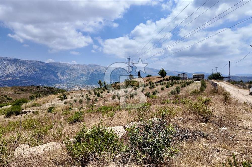ANTALYA MANAVGAT DEMİRCİLER'DE SATILIK 14459 M2 TARLA