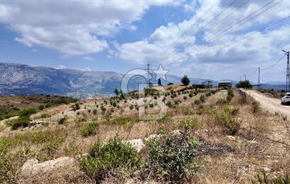 ANTALYA MANAVGAT DEMİRCİLER'DE SATILIK 14459 M2 TARLA