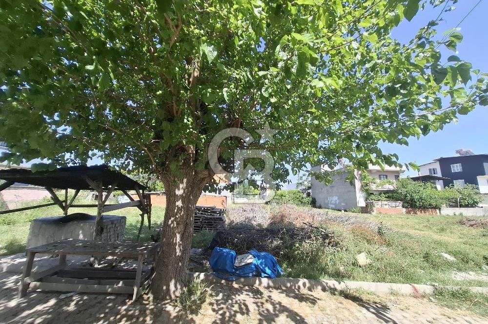 Aydın Germencik Ortaklar Mahallesinde Satılık İmarlı Fırsat Arsa