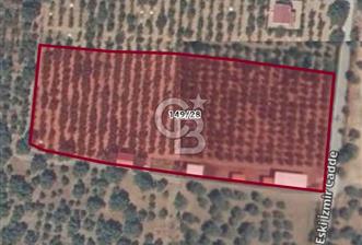 İZMİR KEMALPAŞA'DA SATILIK ÇİFTLİK EVİ VE ARAZİSİ
