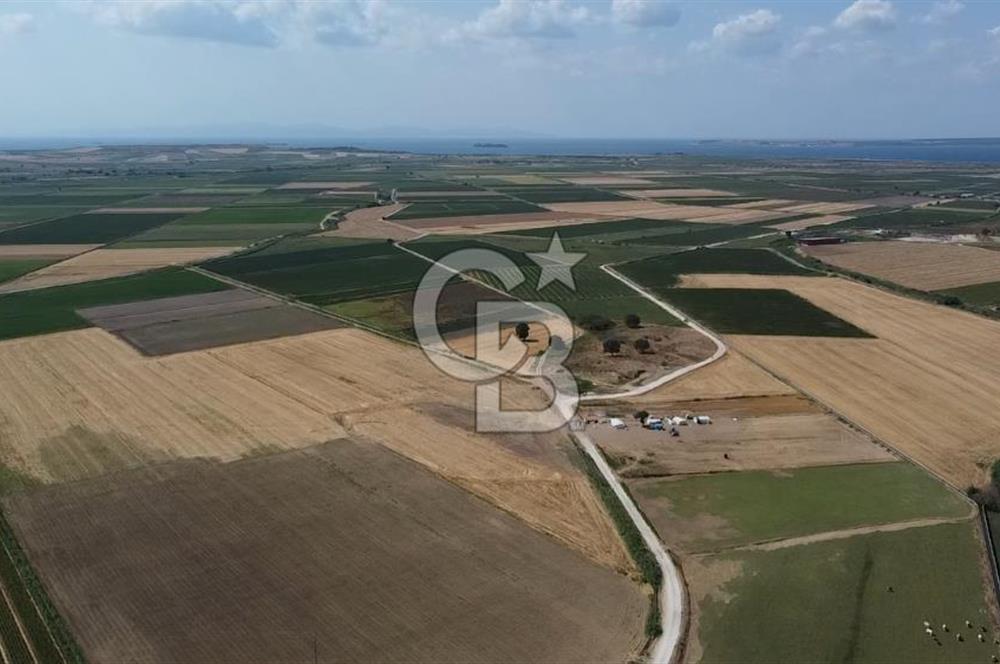 ÇANAKKALE MERKEZ KUMKALE OVASINDA SATILIK TARLA