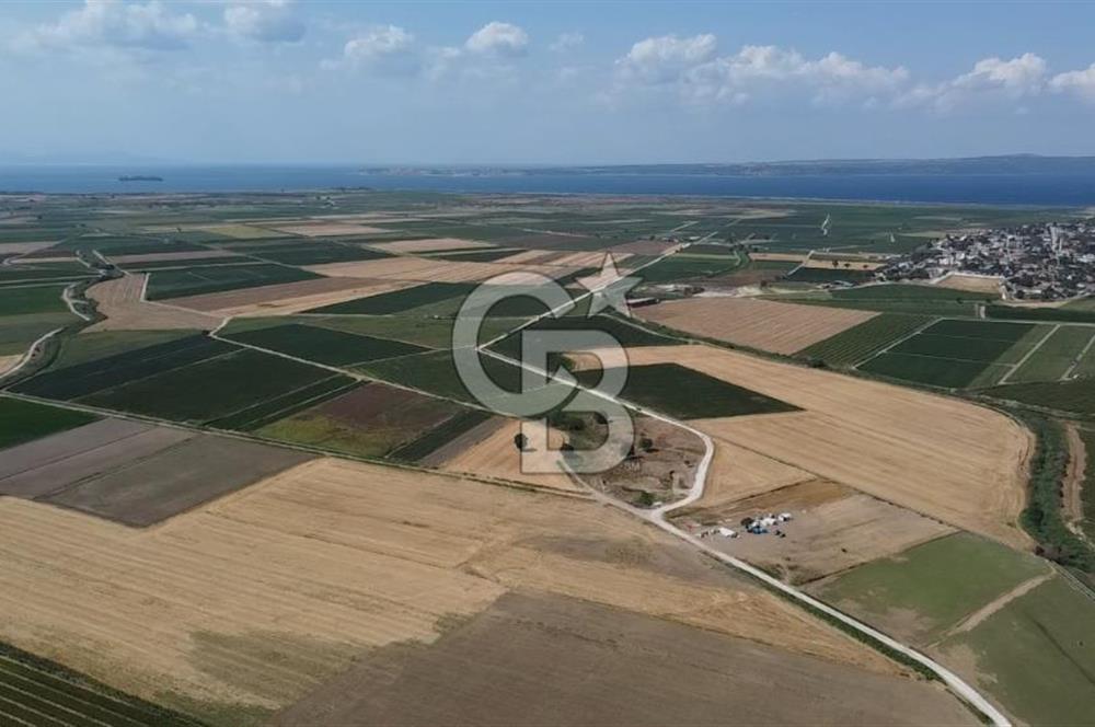 ÇANAKKALE MERKEZ KUMKALE OVASINDA SATILIK TARLA