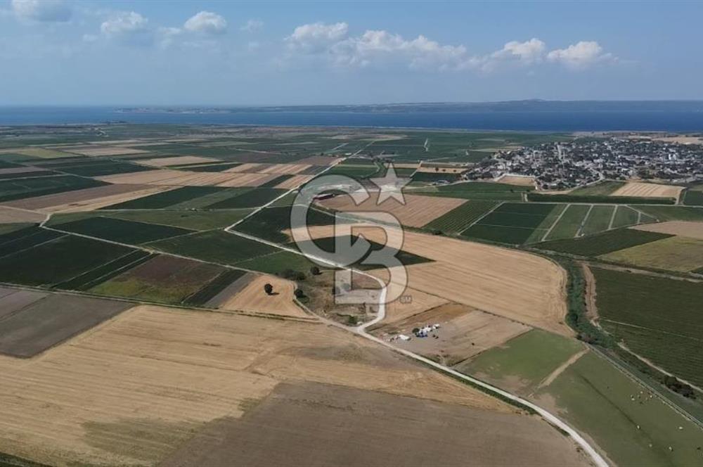 ÇANAKKALE MERKEZ KUMKALE OVASINDA SATILIK TARLA