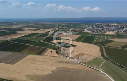 ÇANAKKALE MERKEZ KUMKALE OVASINDA SATILIK TARLA