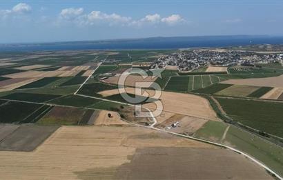ÇANAKKALE MERKEZ KUMKALE OVASINDA SATILIK TARLA