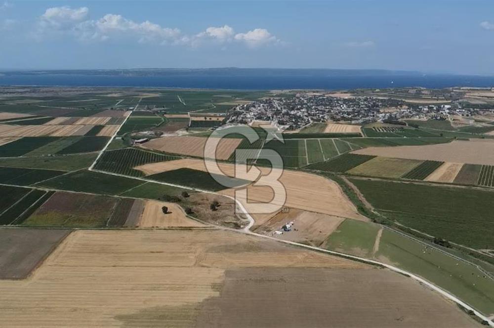 ÇANAKKALE MERKEZ KUMKALE OVASINDA SATILIK TARLA