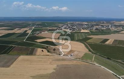 ÇANAKKALE MERKEZ KUMKALE OVASINDA SATILIK TARLA