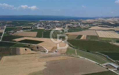 ÇANAKKALE MERKEZ KUMKALE OVASINDA SATILIK TARLA