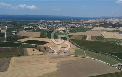 ÇANAKKALE MERKEZ KUMKALE OVASINDA SATILIK TARLA