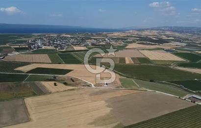 ÇANAKKALE MERKEZ KUMKALE OVASINDA SATILIK TARLA