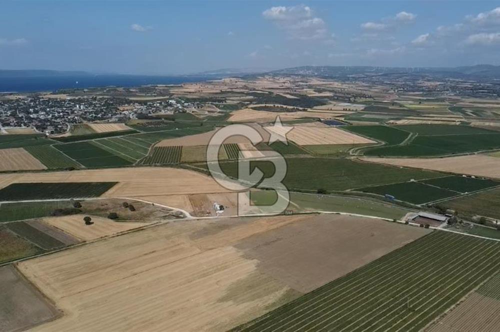 ÇANAKKALE MERKEZ KUMKALE OVASINDA SATILIK TARLA