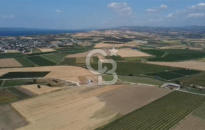 ÇANAKKALE MERKEZ KUMKALE OVASINDA SATILIK TARLA