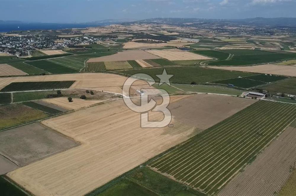 ÇANAKKALE MERKEZ KUMKALE OVASINDA SATILIK TARLA