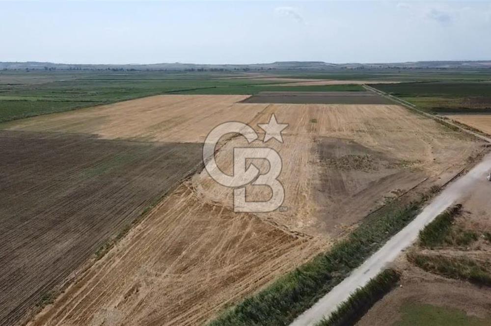 ÇANAKKALE MERKEZ KUMKALE OVASINDA SATILIK TARLA