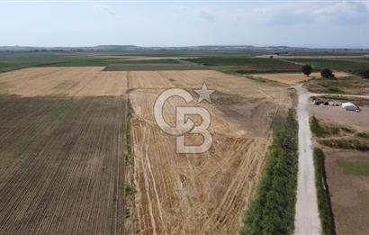 ÇANAKKALE MERKEZ KUMKALE OVASINDA SATILIK TARLA