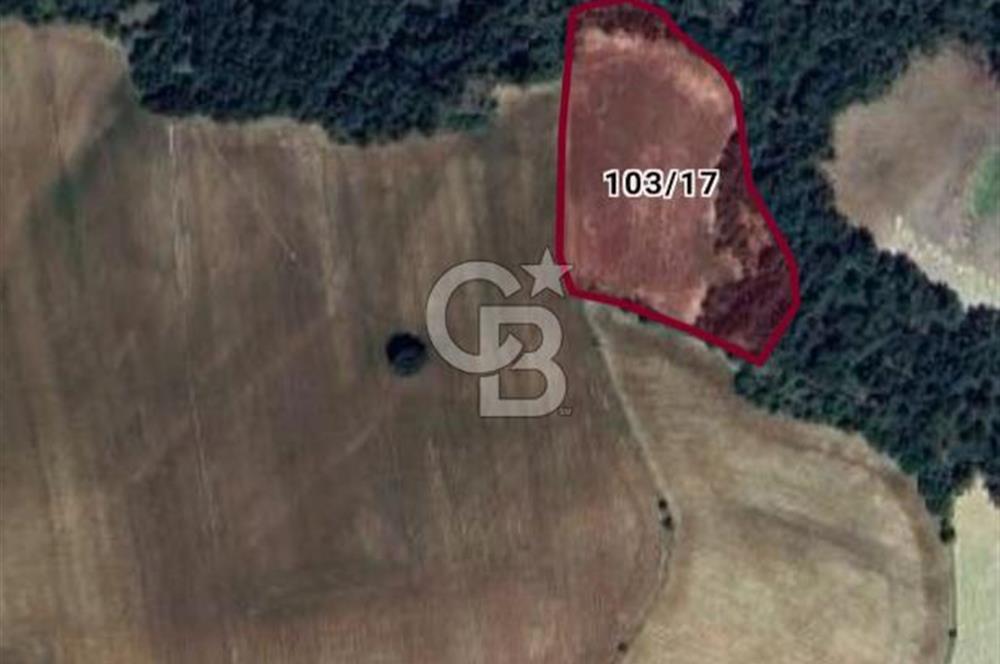  BİLECİK OSMANELİ – ÇİFTLİK KÖYÜ – KIRANLAR MEVKİİ – 7126 m² TARLA