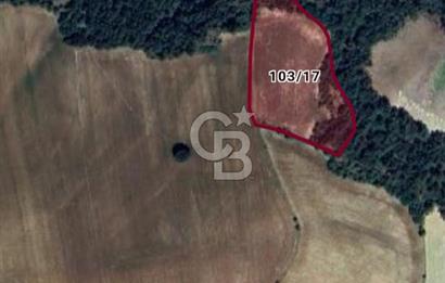  BİLECİK OSMANELİ – ÇİFTLİK KÖYÜ – KIRANLAR MEVKİİ – 7126 m² TARLA