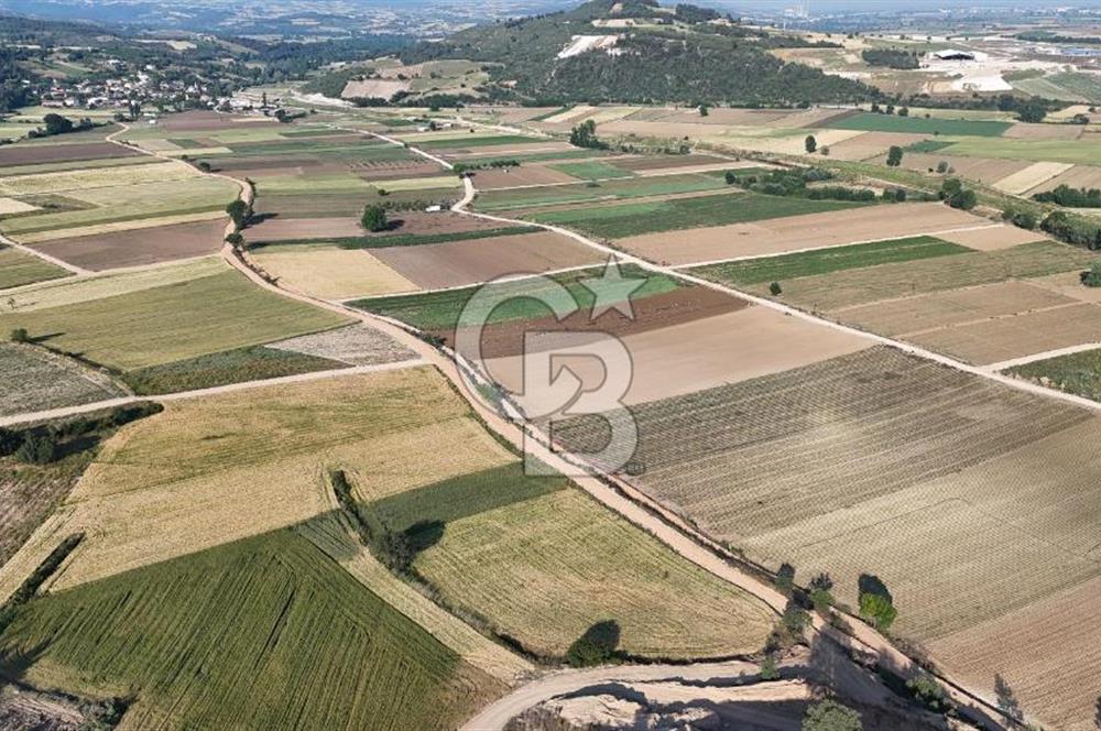 Bursa Yenişehir Çamönü’nde 2743 m² Çift Yola Cephe Yatırımlık Arazi