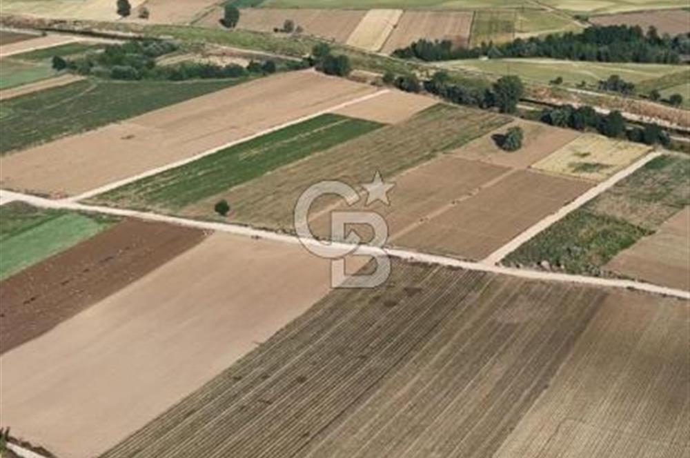 Bursa Yenişehir Çamönü’nde 2743 m² Çift Yola Cephe Yatırımlık Arazi