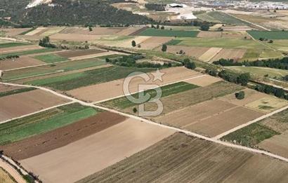 Bursa Yenişehir Çamönü’nde 2743 m² Çift Yola Cephe Yatırımlık Arazi