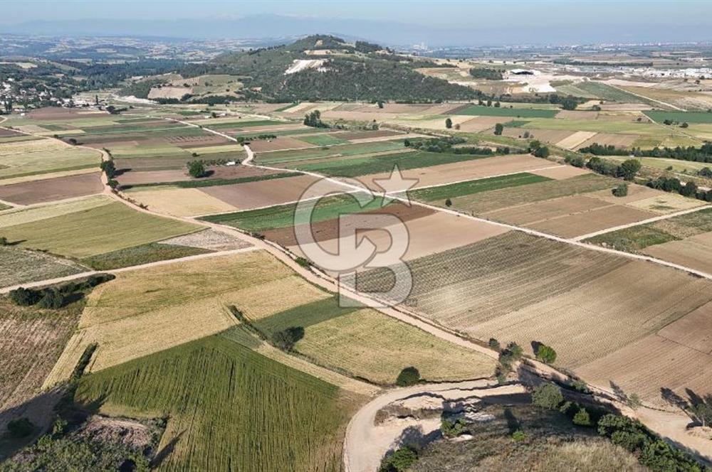 Bursa Yenişehir Çamönü’nde 2743 m² Çift Yola Cephe Yatırımlık Arazi